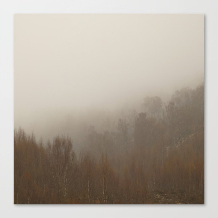 Scottish Highlands Spring Mist in a Birch Forest  Canvas Print
