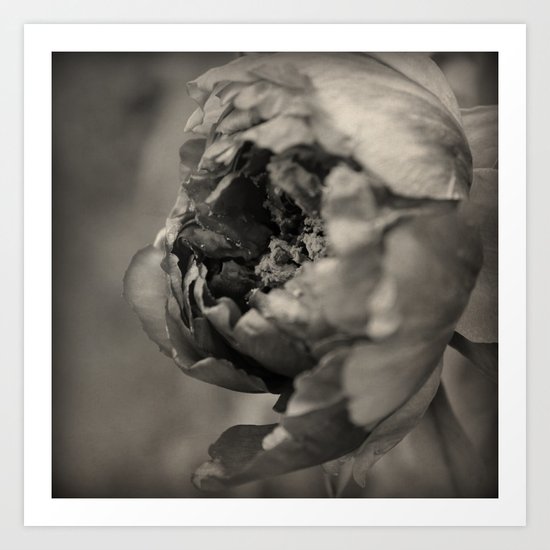 Quiet Dance Art Print