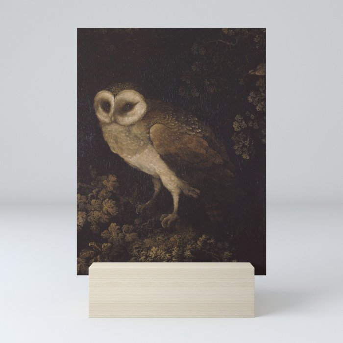 An Owl By Moses Haughton 1780 Funky Quirky Cute Cozy Boho Maximalism Maximalist Mini Art Print