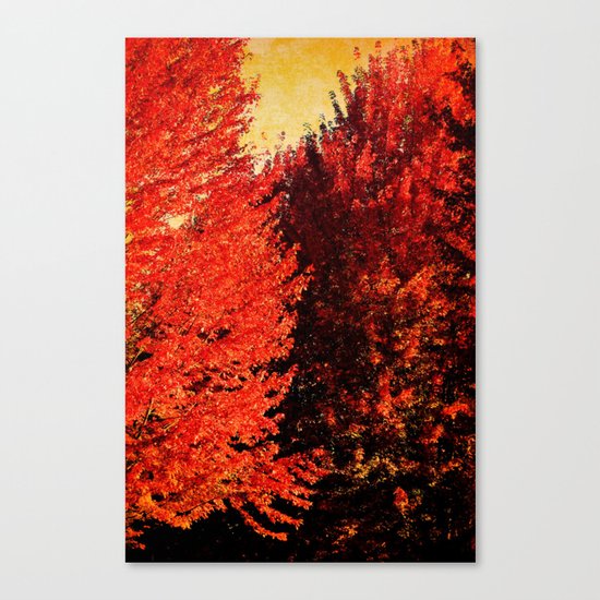 FALL IS HERE Canvas Print