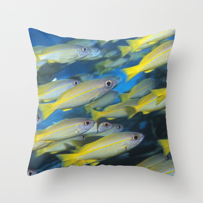 School of Yellow Tropical Fish - Marine Life / Animal / Wildlife / Nature Photograph Throw Pillow and more