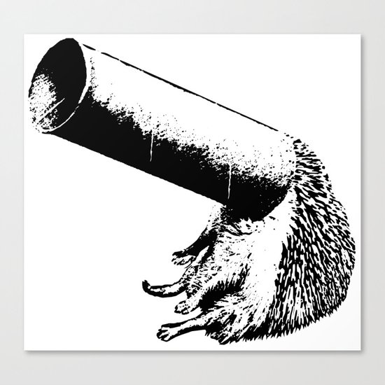 Curiosity is the key Canvas Print