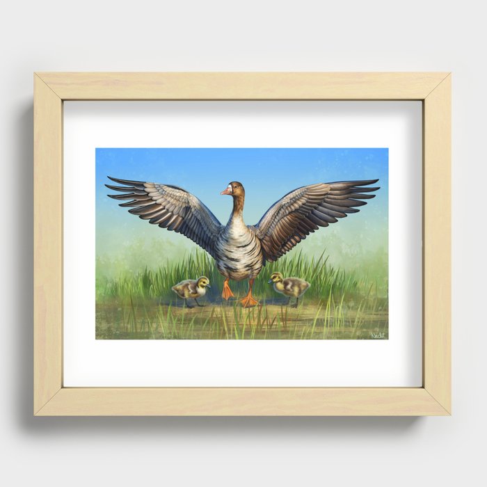 White-fronted Goose Recessed Framed Print