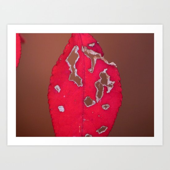 red leaf Art Print