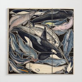 Dolphin, orca, beluga, narwhal & cie Wood Wall Art