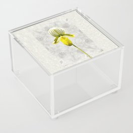 Yellow Lady - Yellow and Gray Floral Botanical Art Acrylic Box