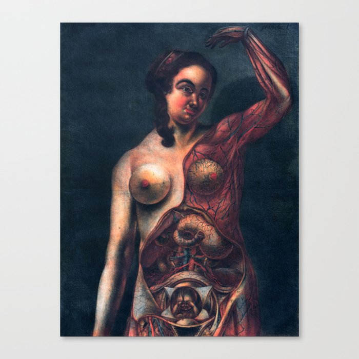 Anatomy Art Pregnant Woman Dissection Dark Art Gothic Home Decor