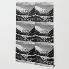 Mt Cook Wallpaper For Any Decor Style Society6 Images, Photos, Reviews