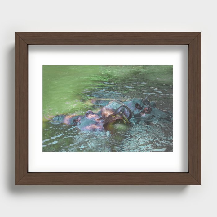 hippopotamus Recessed Framed Print