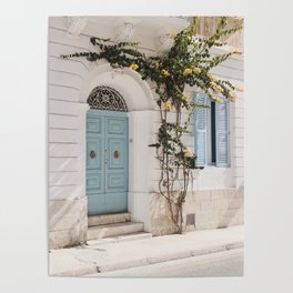 BLUE WOODEN DOOR WITH GREEN PLANT Poster