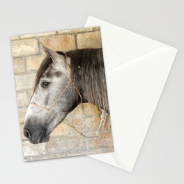 Oloroso Stationery Cards