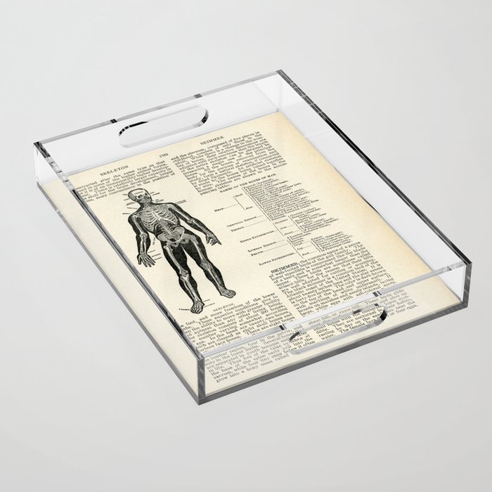 Vintage Dictionary Page Anatomy Skeleton  Acrylic Tray