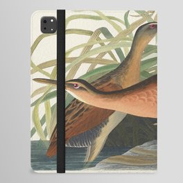 Fresh Water Marsh Hen from Birds of America (1827) by John James Audubon  iPad Folio Case