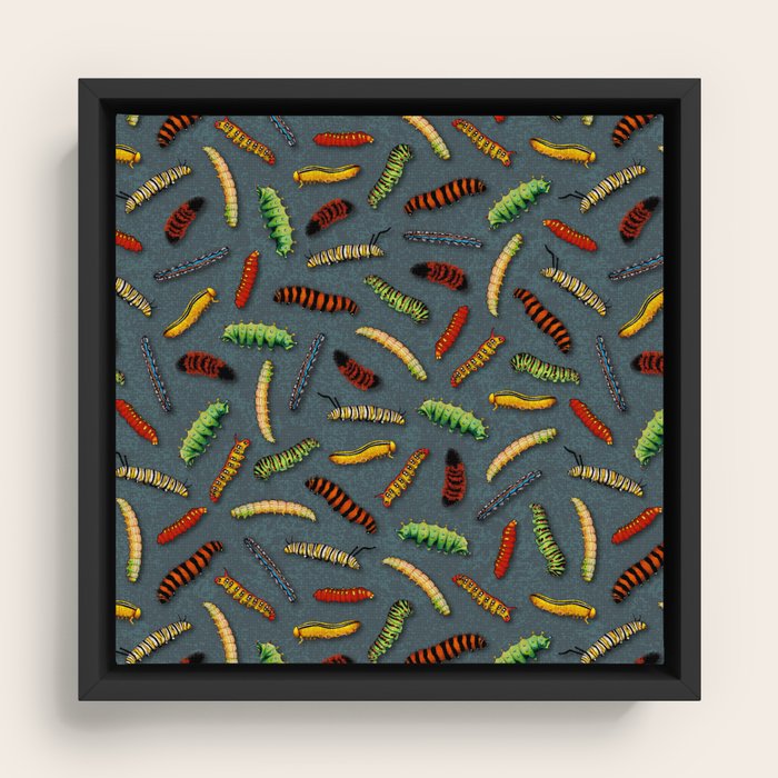 Framed Canvas