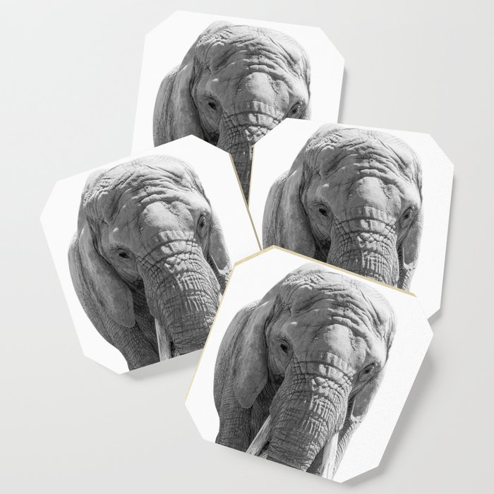Elephant Portrait Photography B&W Coaster