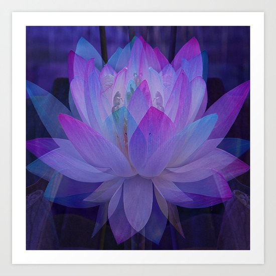 The Lotus in blue... Art Print