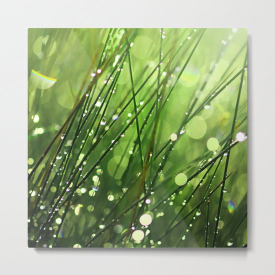 After the Rain Metal Print