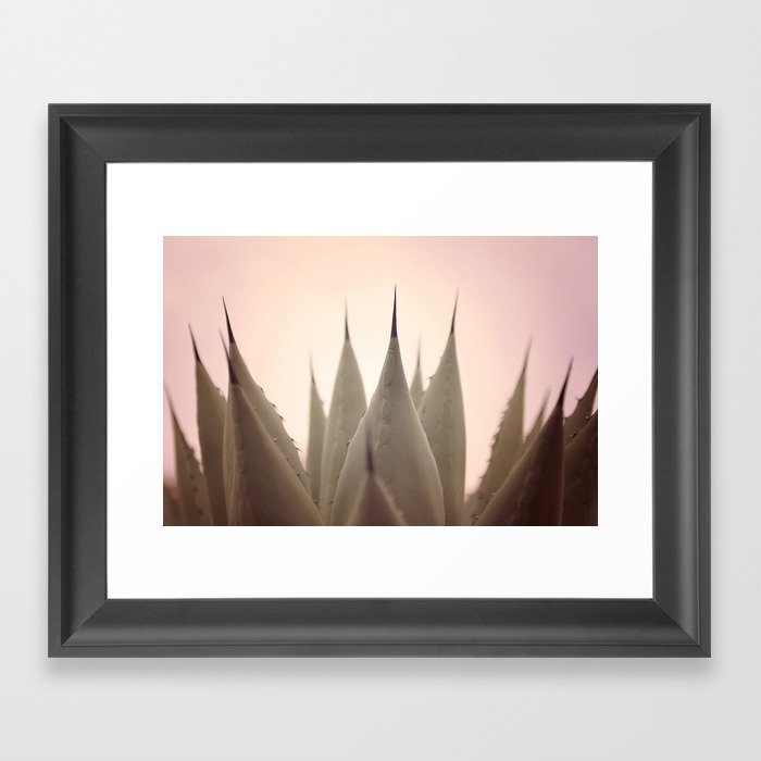 Agave Cactus Framed Art Print