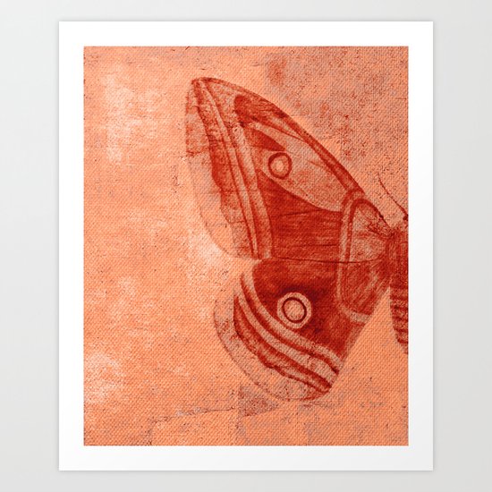 Moths 1 Art Print