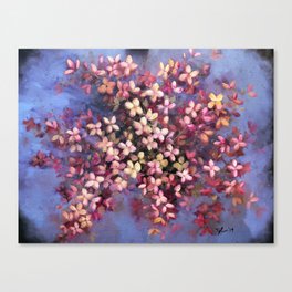 Pink Hydrangeas Canvas Print