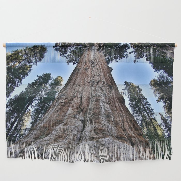 Redwood big II portrait size; redwoods of California; John Muir woods giant trees nature landscape color photograph / photography Wall Hanging