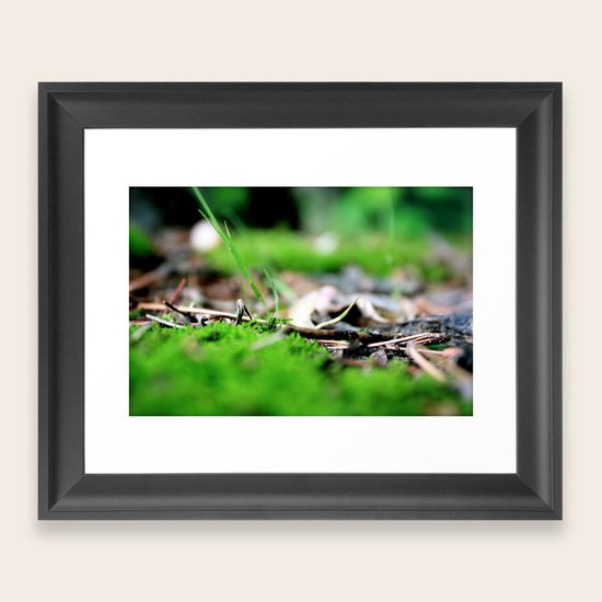 moss Framed Art Print