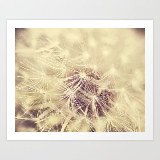 Dandelion Glow Art Print