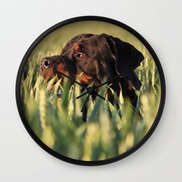 Rottweiler Dog Looks Out Wheat Field Wall Clock