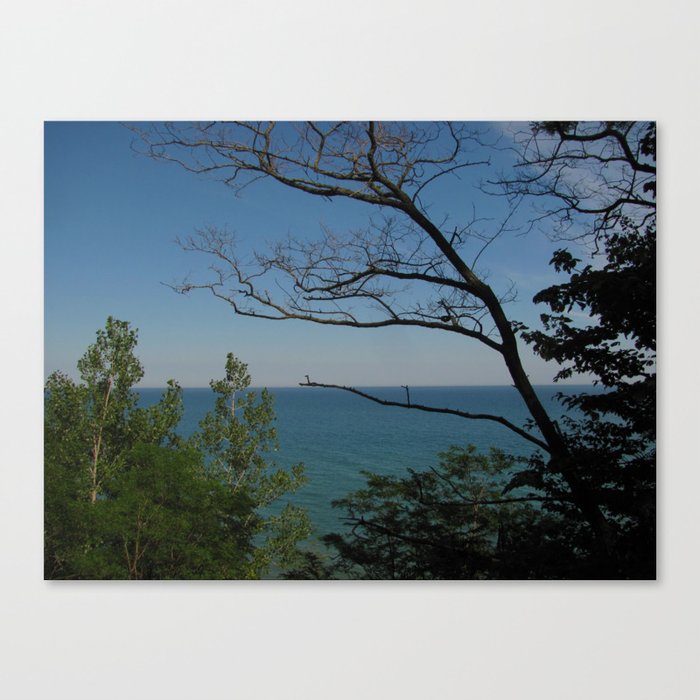 Lake Overview ~  Canvas Print