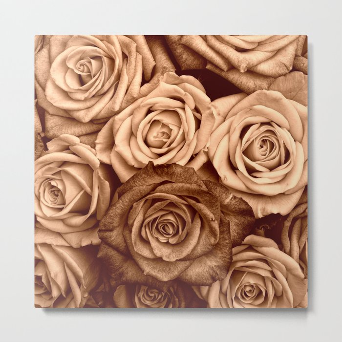 Sepia Roses Metal Print
