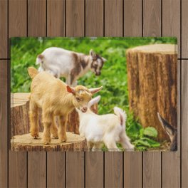 Baby Goats Playing Outdoor Rug
