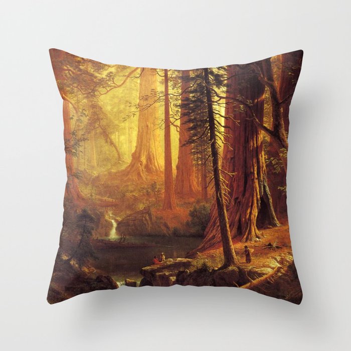 Throw Pillow