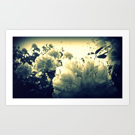 Dancing in the Light Art Print