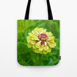 Green and Magenta Zinnia's Tote Bag | Digital, Magenta, Photo, Bright, Bees, Growing, Digital Manipulation, Hdr, Color, Beauty 