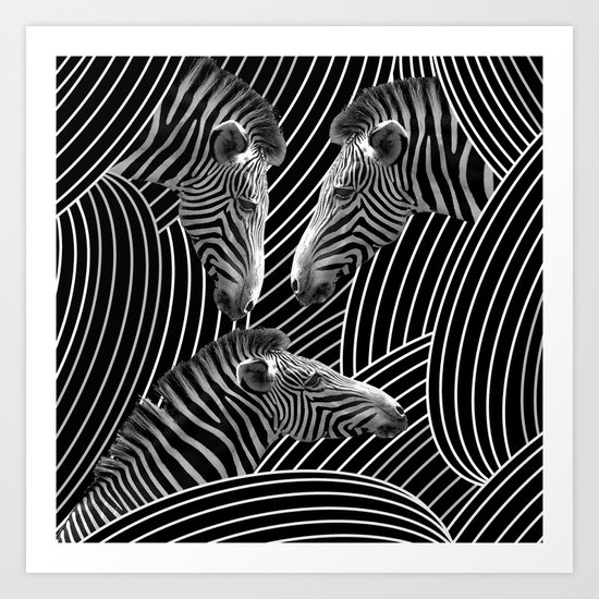 Zebras Art Print