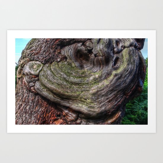 Tree Knot Art Print