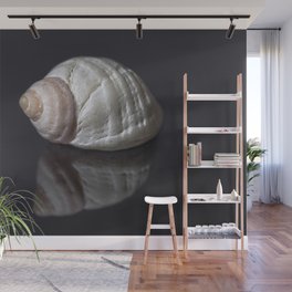 Seashell snail reflection Wall Mural