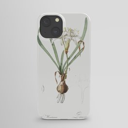 Sea daffodil illustration from Les liliacées (1805) by Pierre-Joseph Redouté. iPhone Case