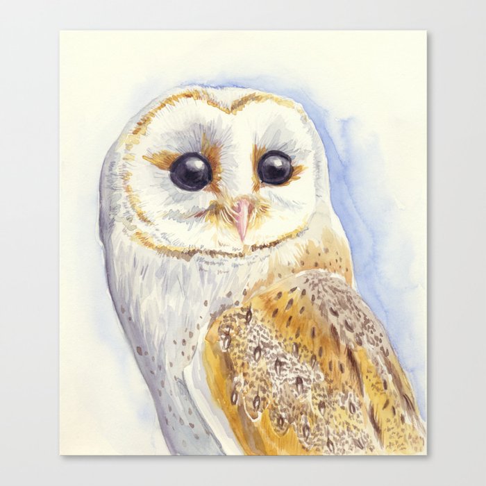 Owl bird Canvas Print