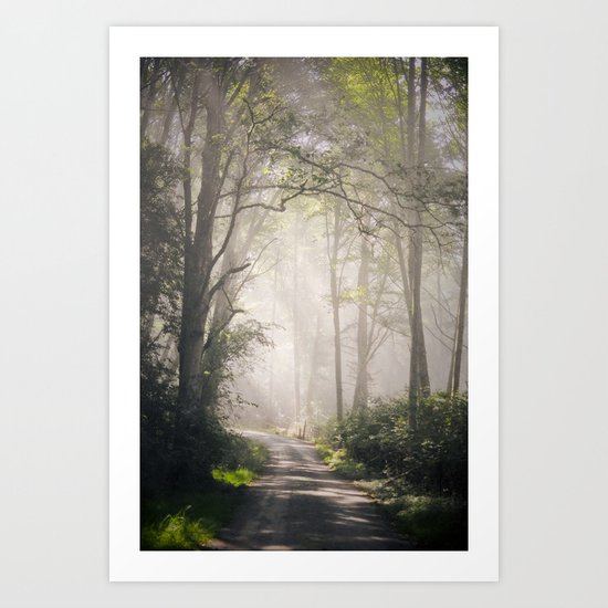 doe bay | 2011. Art Print