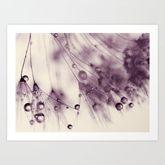 dandelion Art Print
