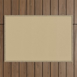 Medium Tan Brown Solid Color Pairs PPG Somber PPG1093-4 - All One Single Shade Hue Colour Outdoor Rug