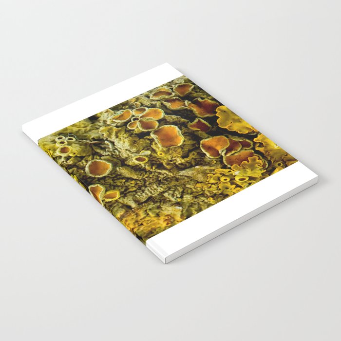 Lichen Texture 02 Notebook