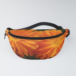 Twins Fanny Pack