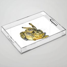 Young Hare inspired by Dürer Acrylic Tray