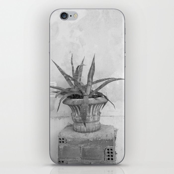 Agave Dream in Athens #2 #minimal #wall #art #society6 iPhone Skin