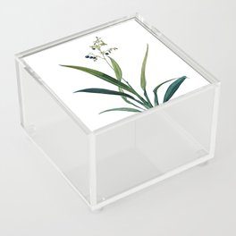 Vintage Flax Lilies Botanical Illustration on Pure White Acrylic Box
