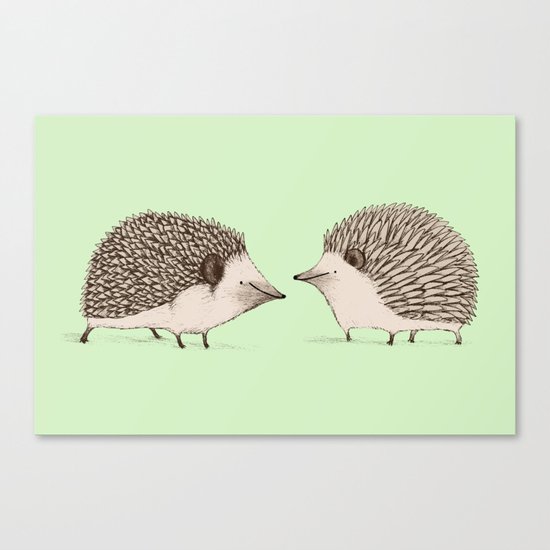 Two Hedgehogs Canvas Print