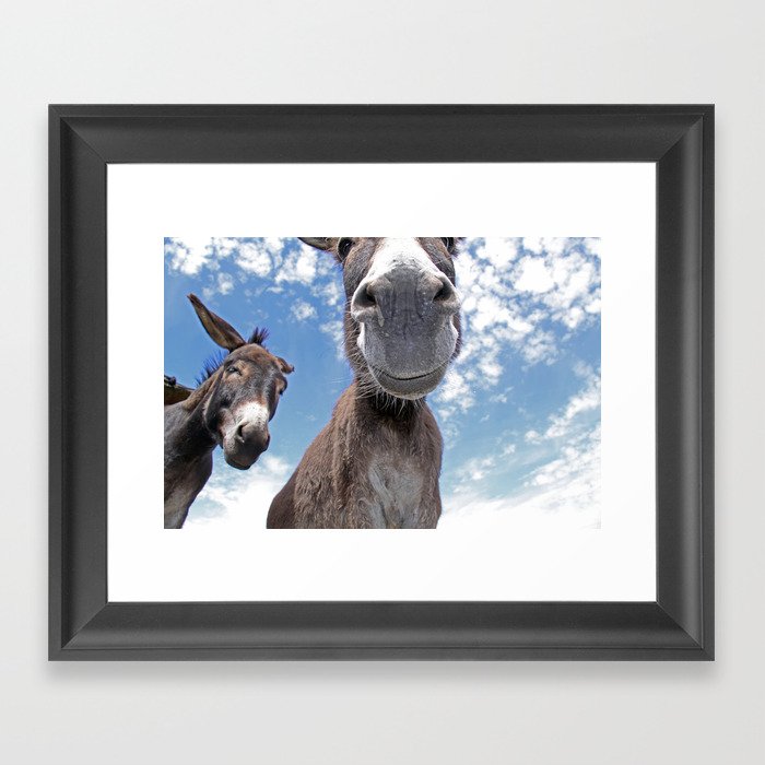 Funny Donkey Framed Art Print