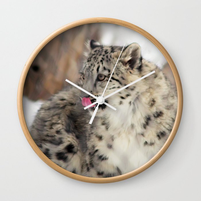 Snow Leopard Cub Wall Clock